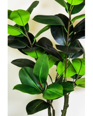 Planta de hule 130cm (sin maceta)