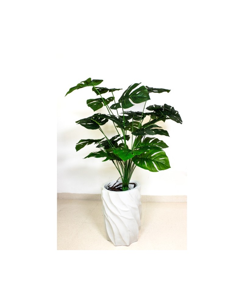 Planta mostera 105cm altura (sin maceta)