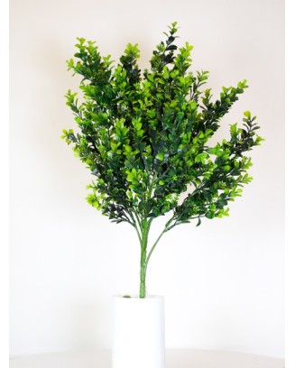 Vara frondosa boxwood 78cm