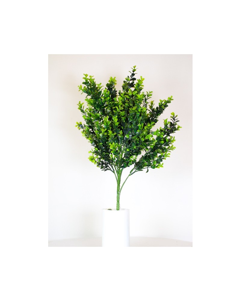 Vara frondosa boxwood 78cm