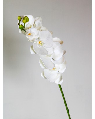 Orquidea con textura 75cm