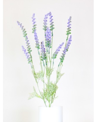 Vara de lavanda de 50cm altura