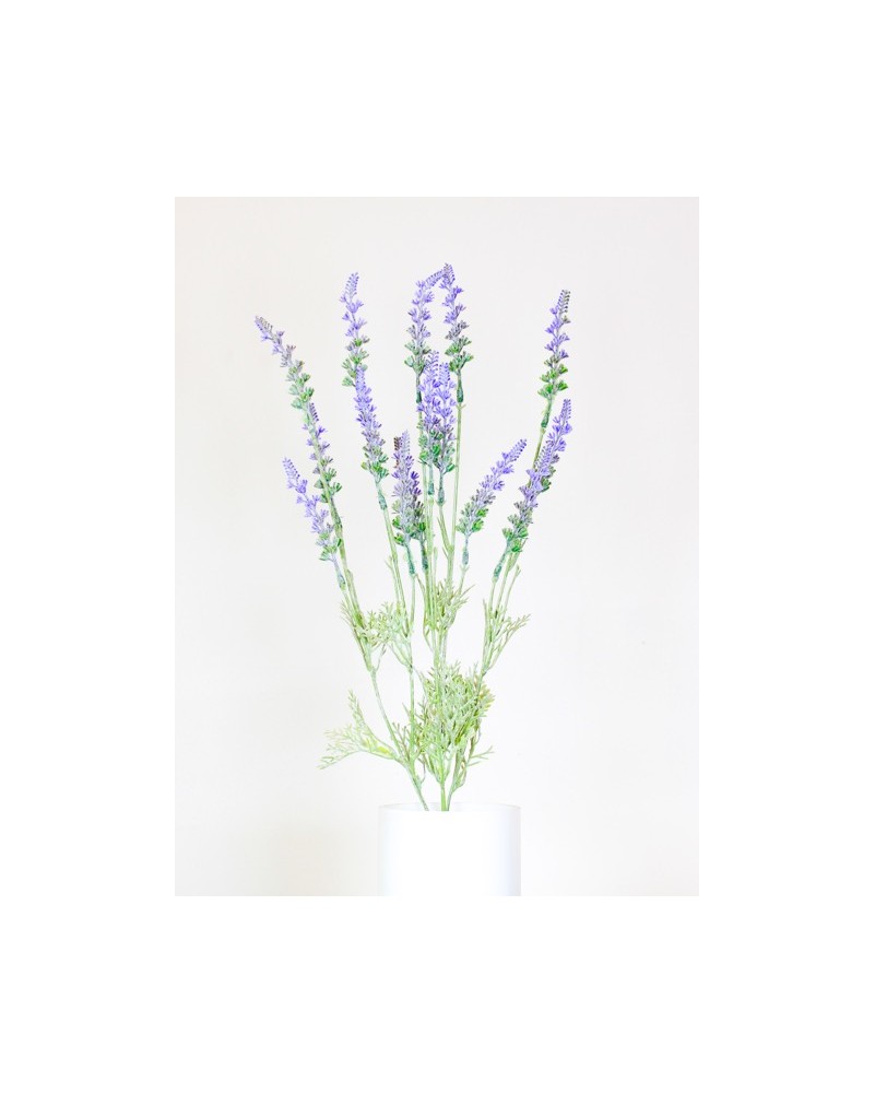 Vara de lavanda de 50cm altura