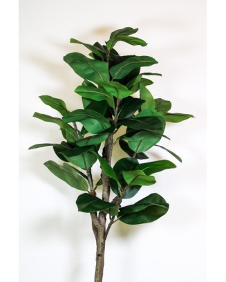 Planta de hule 180cm (sin maceta)