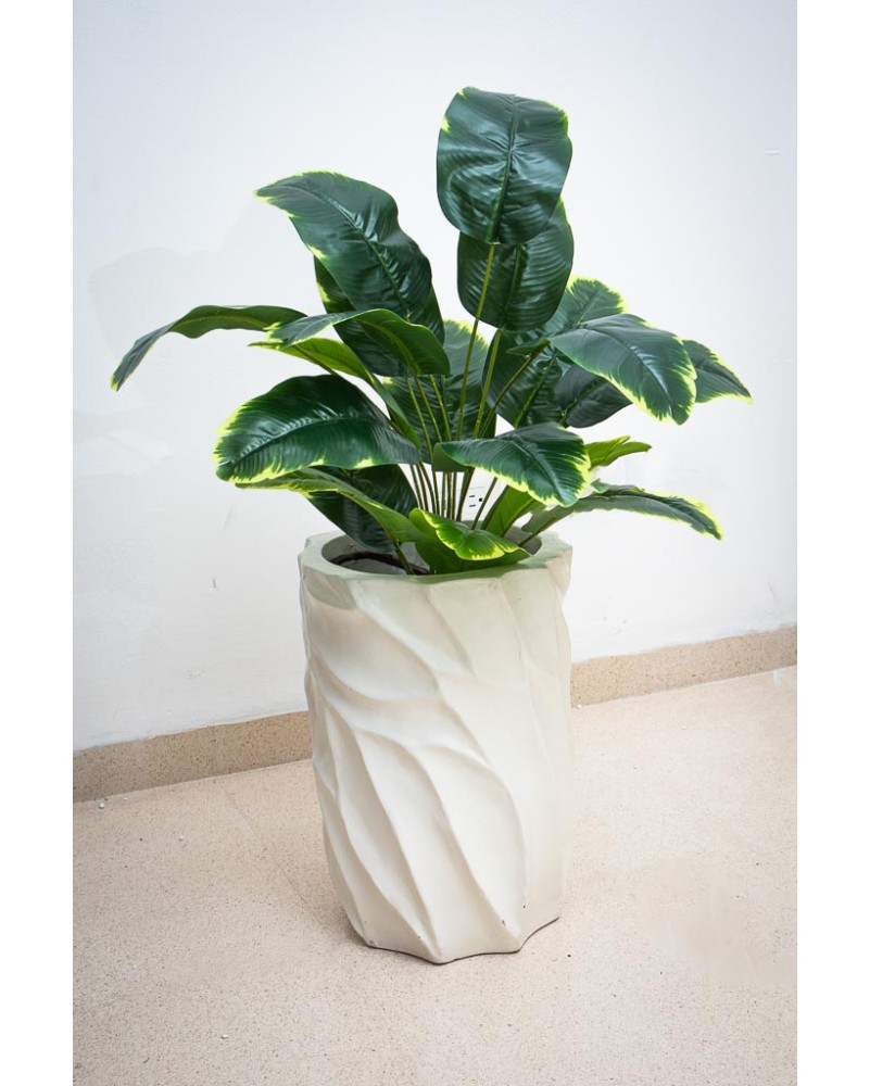 Planta banana 60cm largo