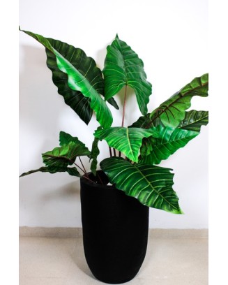 Planta colocasia 110cm