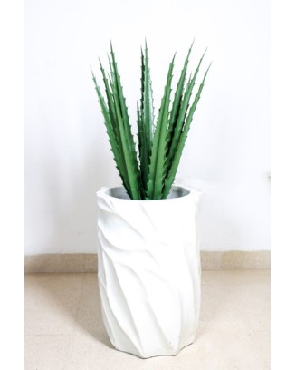 Agave con protección UV 70cm