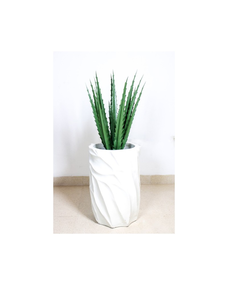 Agave con protección UV 70cm