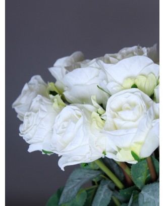 Rosas natural touch con 10 flores, dos tonalidades