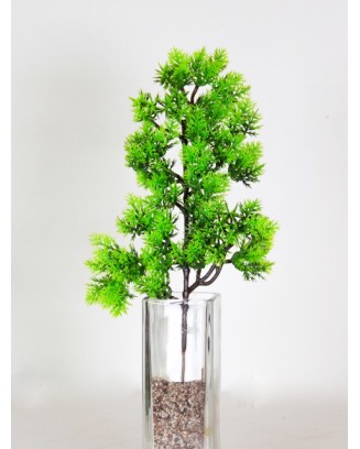 Follaje bonsai Asparagus 33cm