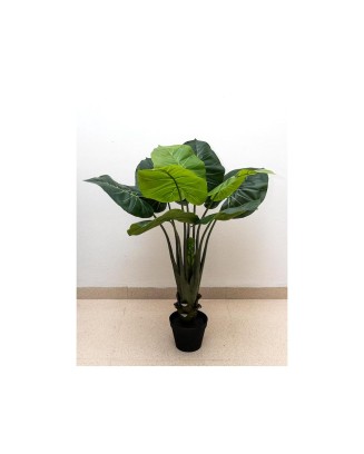 Planta philodendrom 90 cm (no incluye maceta)
