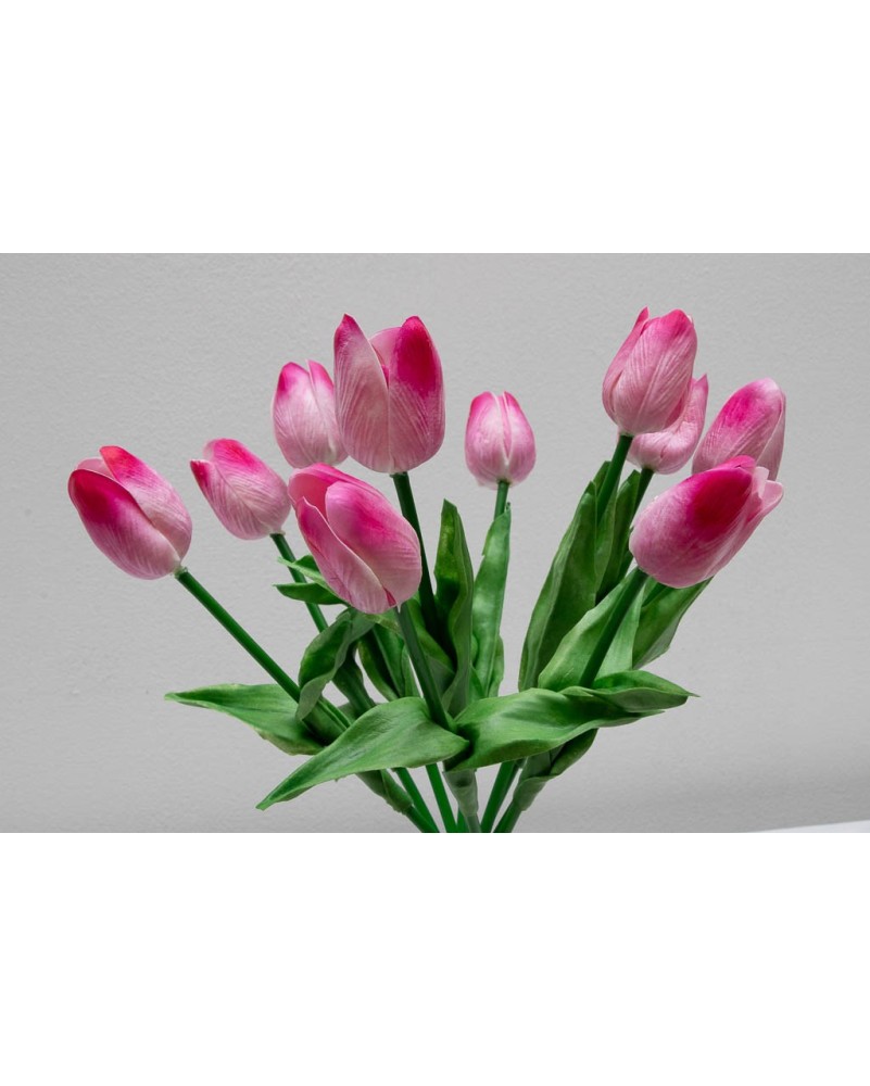 Ramo de tulipanes con 10 flores, varios colores