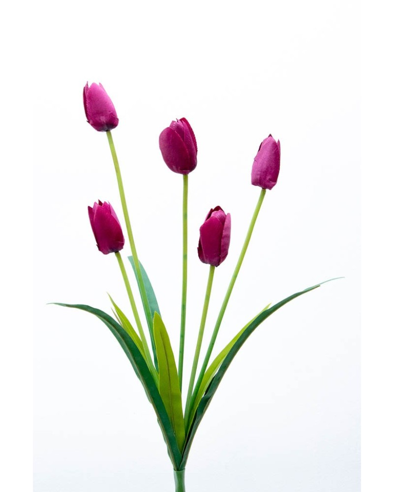 Ramo de tulipanes con 5 flores, varios colores