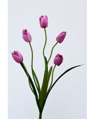 Ramo de tulipanes con 5 flores, varios colores