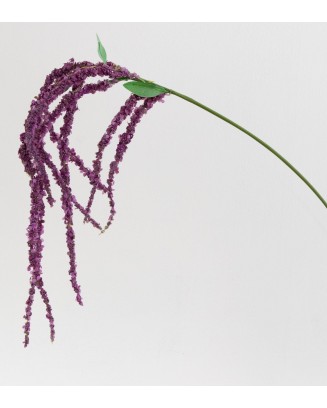 Amaranto linus 117cm, cuatro colores