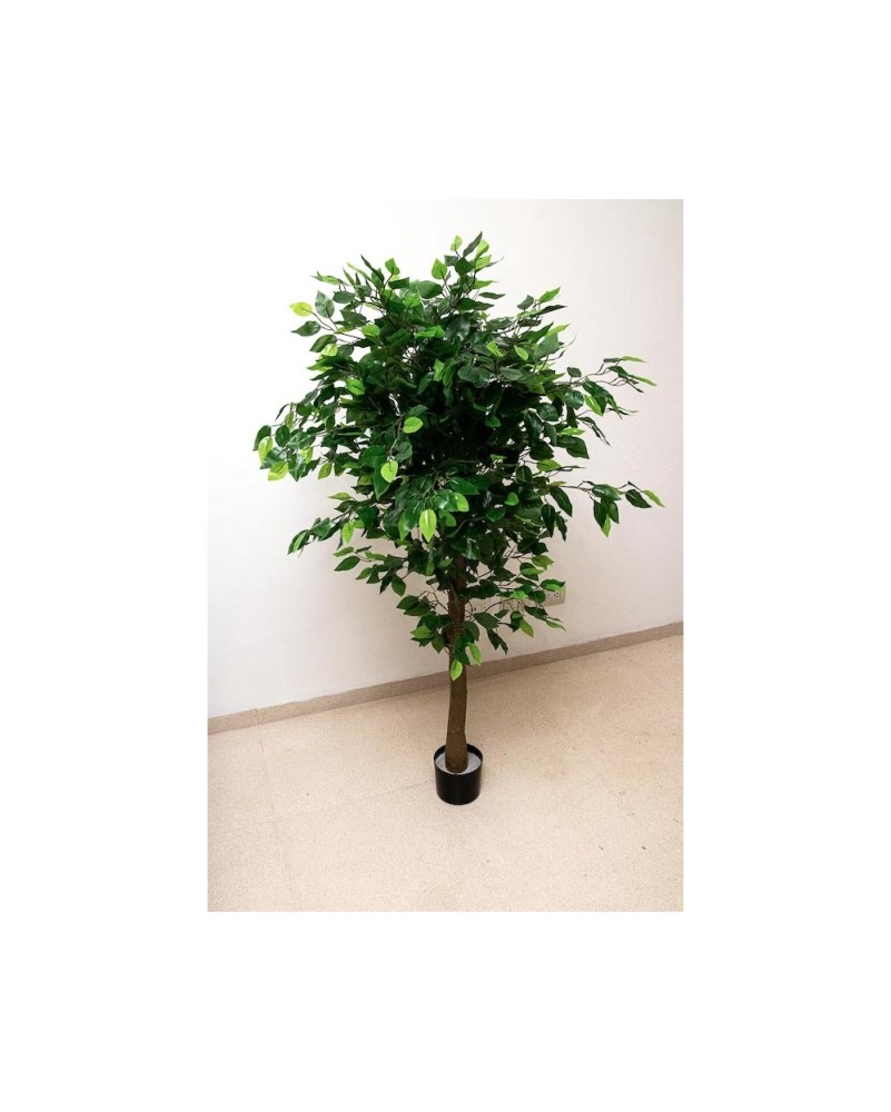 Árbol ficus 120 cm altura