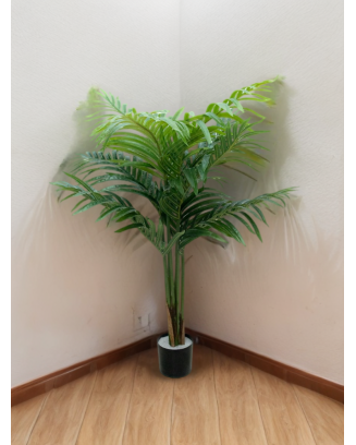 Palmita areca 100 cm con...