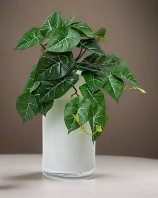 Colgante philodendron 28cm...