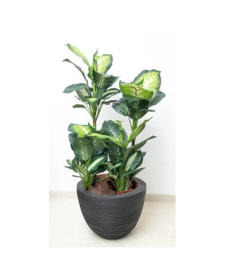 Planta dieffenbachia 110 cm