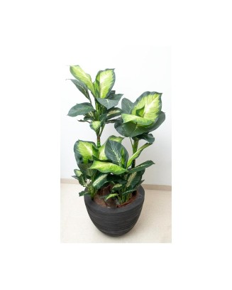 Planta dieffenbachia 110 cm