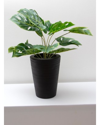 Planta esqueleto 52cm