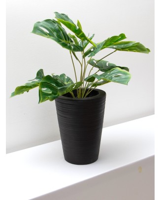 Planta esqueleto 52cm