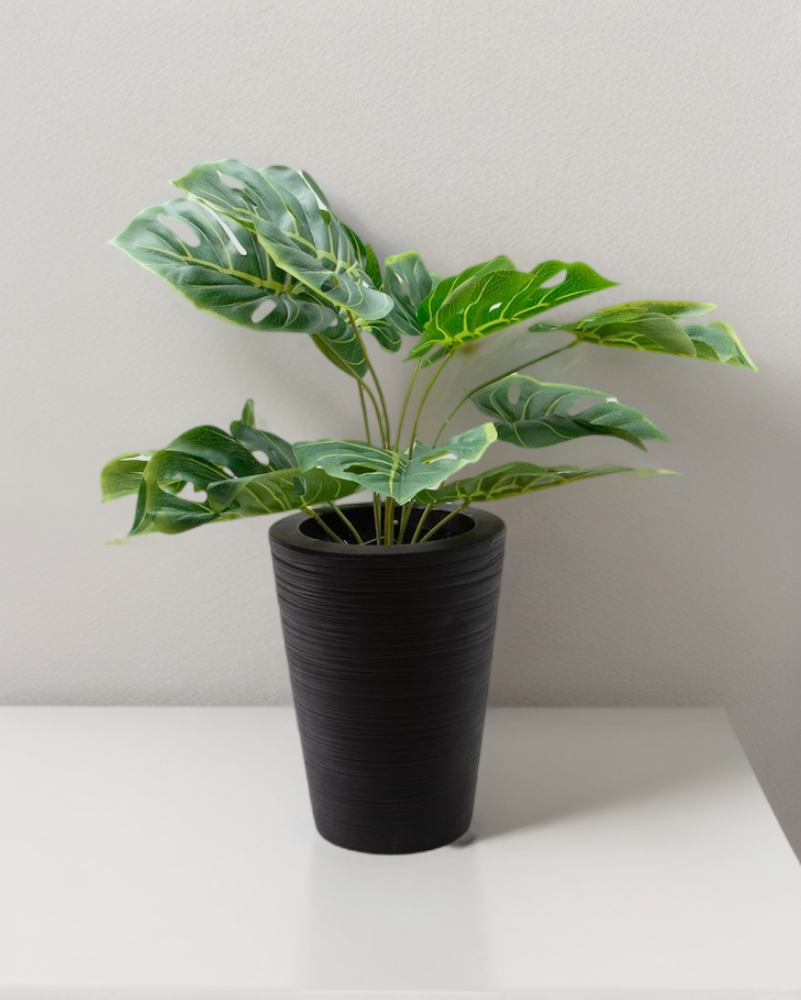 Planta esqueleto 52cm