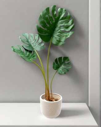 Planta esqueleto 80cm, soft...