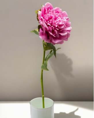 Peonia china 56cm, varios...