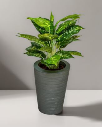 Planta Calathea de 43cm de...